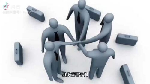 组织管理咨询与软件开发 协同创新的关键路径