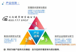 天行健咨询公司 实力、定位与价值解析