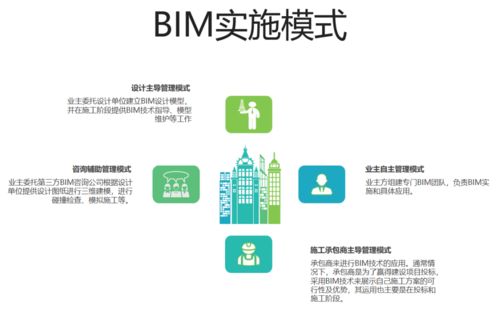BIM技术在软件开发中的应用路径与策略