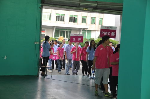 热烈祝贺bg电器管理变革誓师大会圆满召开 日照驻厂咨询项目中的信赖与变革力量